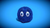 Fuzzy Face