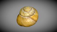 Grove Snail