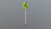 Coconut palm 3 low poly