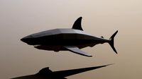Low Poly Cartoon Shark