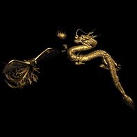 Dragon 014 3D Model