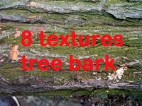 Tree bark acacia package with 8 textures 3D Model
