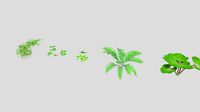 Plants Collection Pack (Game-Ready, Low Poly)