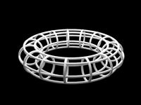 Torus of circles ring 3D Model