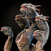 Hydra
