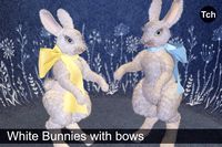 Mr and Mrs White Bunnies with bows (3D)
