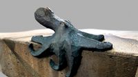 Embarcaderoctopus