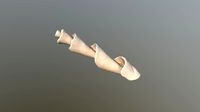 Seasshell 08 3D Scan