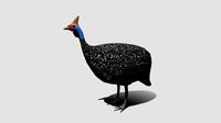 Low Poly Cartoon Helmeted Guineafowl