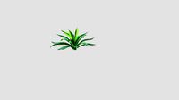 Agave for CinemaD