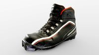 Ski Shoe