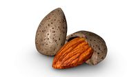 Almond nuts 01