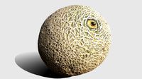 The Cantaloupe