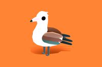 Abbott Booby - Quirky Series