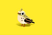 Maghreb Lark - Quirky Series