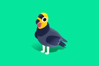 California Condor - Quirky Series