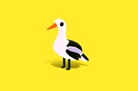 White Stork - Quirky Series