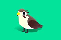 Prairie Falcon - Quirky Series