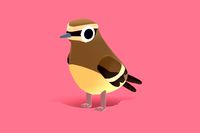 Northern Wheatear - Quirky Series