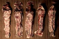 Inquisition - Bodybags