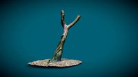 Tree - Photogrammetry