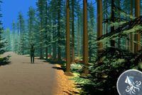 poly forest