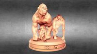 Primate