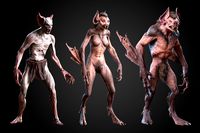 Vampire Bundle