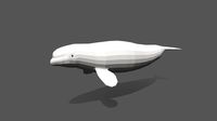 Low Poly Cartoon Beluga Whale