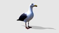 seagull