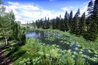 Lake Coniferous - Environment