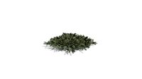 Realistic HD Blue Nest spruce (2/10)