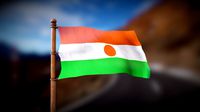 Flag of Niger - Wind Animated Loop
