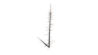 Realistic HD Black spruce (32/38)