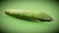 Cucumber