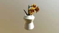 Daffodils