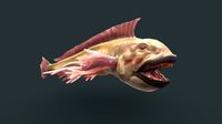 Grinner Fish