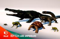Reptiles and Amphibians - Animals Pack
