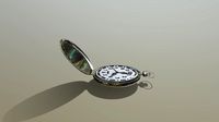 Pocket watch