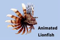 Animated Lionfish