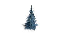 Realistic HD Colorado Blue spruce Koster (11/43)