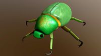 Green Bug - Beetle