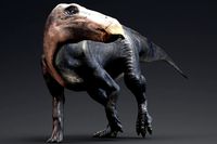 Shantungosaurus