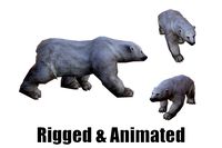 Animated Polar Bear