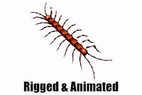 Animated Centipede