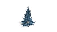 Realistic HD Colorado Blue spruce (11/43)