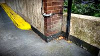 Warwick carpark floor photogrammetry