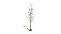 Realistic HD Black poplar (76/105)