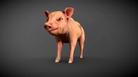 Piglet (Vertex Colours)