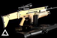 Scorpion HHS Assault Rifle (Customize )